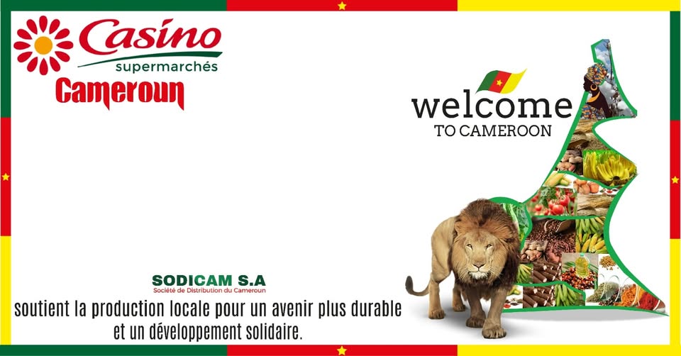 Catalogue Casino en ligne : Promotions et Offres